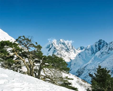 Winter Alpine Rocky Mountains Landscape Stock Photo Image Of Dombai