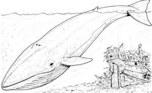 The largest animal living or extinct on our planet is blue whale. 301 Moved Permanently