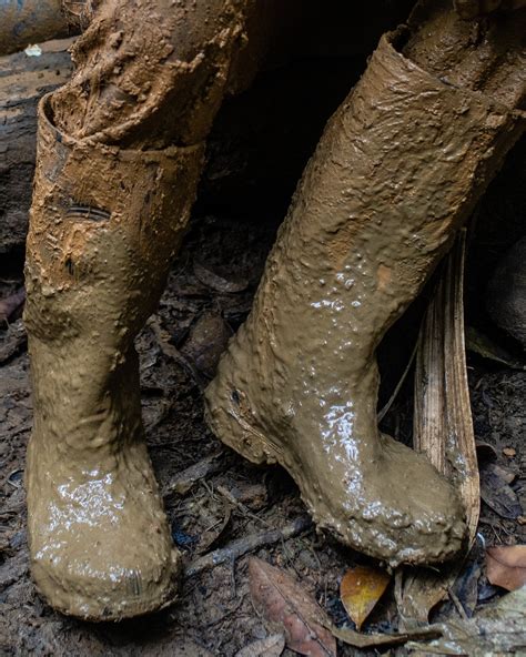 What One Image Shows About the Darién Gap - The New York Times