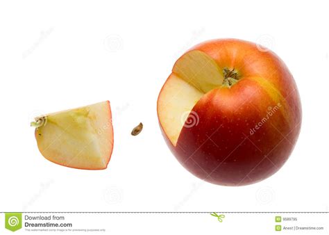 Whole Seed And Quarter Apple Stock Image Image 9589795