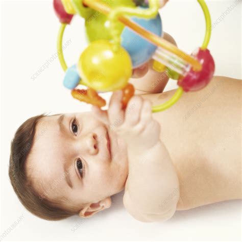 Baby Boy Stock Image M830 1561 Science Photo Library