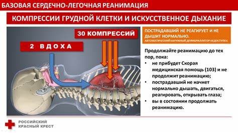 Спаечная болезнь брюшной полости диета Спаечная болезнь брюшной полости карта вызова скорой медицинской помощи Спаечная болезнь брюшной полости карта вызова скорой медицинской помощи Спаечная болезнь брюшной полости диета