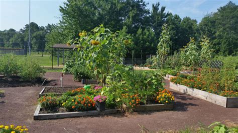 Community Garden Rules York County Va