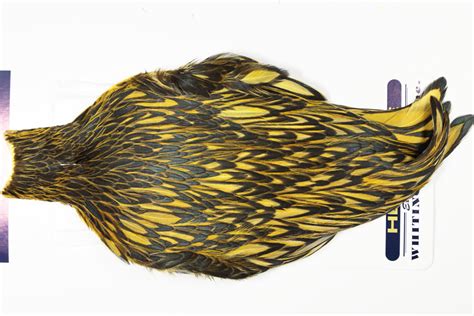 Ahc 6794 American Hen Cape Blw Dyed Golden Olive Jimsflyco