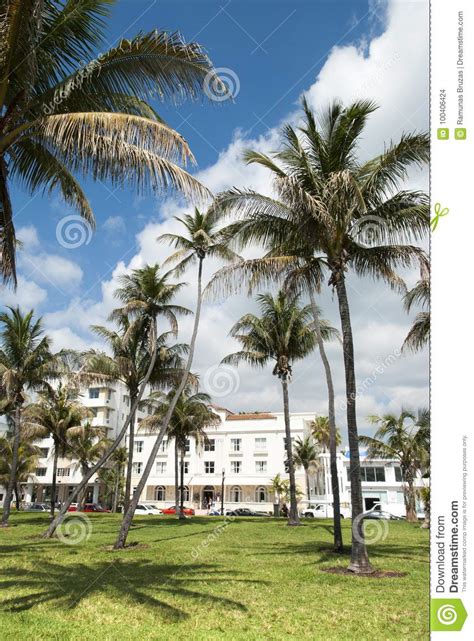 Miami Beach Park Stock Photo Image Of Tall Miami Places 100406424