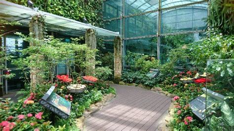 2020 top things to do in singapore. Butterfly Gardens Singapore in 2020 | Butterfly garden ...