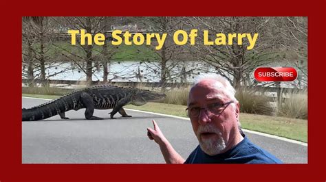 The Story Of Larry The Alligator From The Villages Florida And More