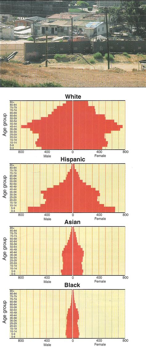 Age Sex Pyramids Of Projected Populations In 2000 By Ethnicity In Download Scientific Diagram
