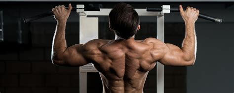 Top 10 Back Exercises For Building Muscle Korefitnessjalandhar