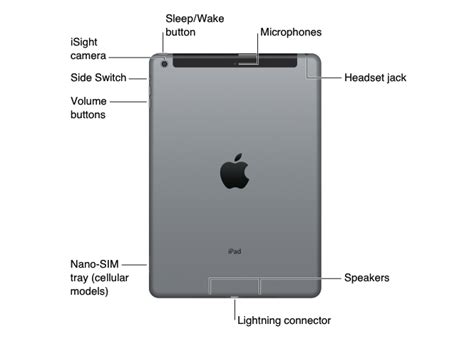 Apple ipad mini 4 release in september 2015 comes with ios 9, apple a8 chipset, 1 gb, display size 7.9 inch, 2048 x 1536 pixels (qxga) screen resolution, 8.0 mp primary camera, inbuilt battery not removable battery, weight 299g release price usd 557, eur 486. Where is the plug in on the iPad Air? - iPhone, iPad, iPod Forums at iMore.com
