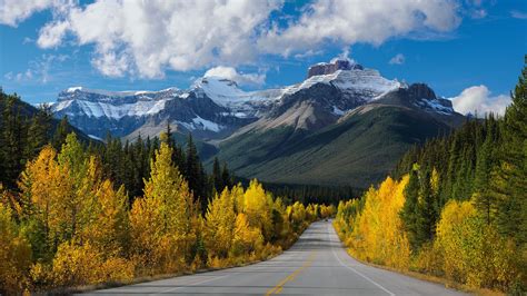 Autumn In Canadian Rockies Hwy 93 Icefields Parkway In Banff National