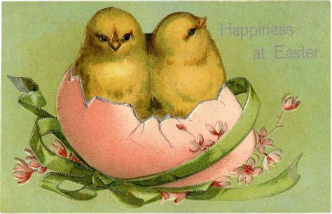 33 Easter Chick Clipart The Graphics Fairy