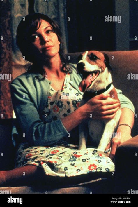 Mein Hund Skip My Dog Skip Usa 2000 Regie Jay Russell Diane Lane