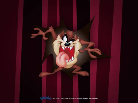 P Tasmanian Devil Looney Tunes Tv Show Looney Tunes Hd Wallpaper