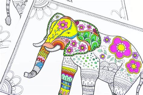 Η ένωση θα κινηθεί δυναμικά στην αγορά για τον επόμενο προπονητή. Ζωγραφική για μεγάλους - Ftiaxto.gr