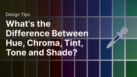 Whats The Difference Between Hue Chroma Tint Tone And Shade