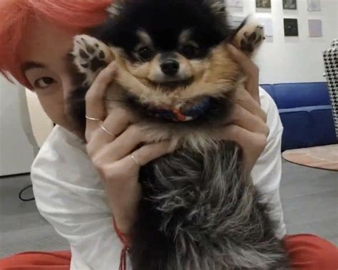 Btss Lovely Little Yeontan