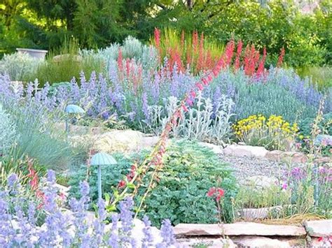 Drought is a meteorological event defined as a period without precipitation of sufficient duration that soil moisture is depleted and injury to plants may result. Nice contrasts with drought tolerant plants. Utah friendly ...
