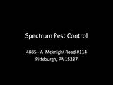 Images of Pest Control Youtube