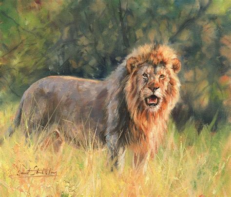 Lion Painting By David Stribbling Fine Art America