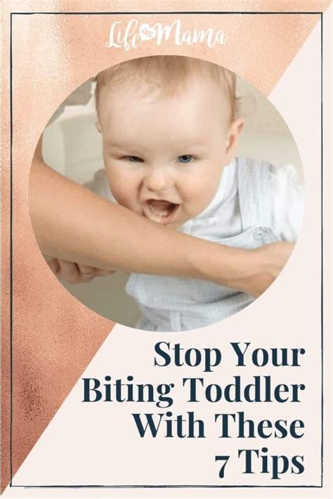 Stop Your Biting Toddler With These 7 Tips Page 2 Of 2