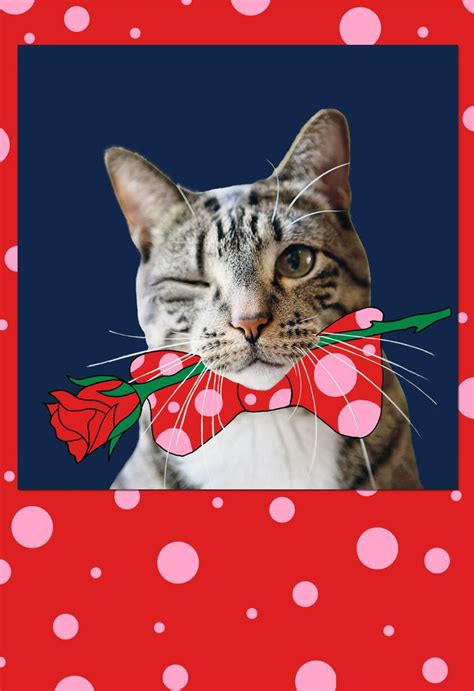 10 Purrfect Valentines Day Cards For Cat Lovers Cat Opedia
