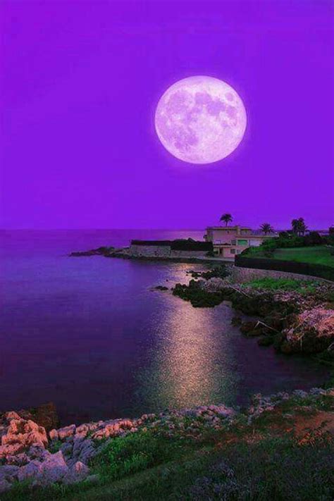 Another Big Moon Beautiful Moon Purple Sky Nature