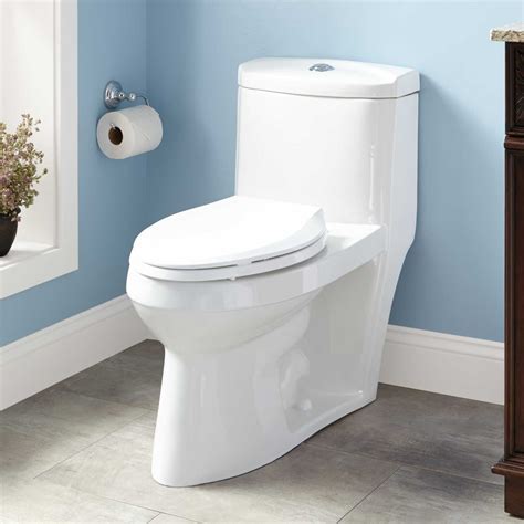 Kaminsky Dual Flush One Piece Elongated Siphonic Toilet High