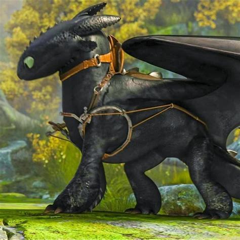 Pin By Cejotas 11 On Hipo Y Chimuelo How To Train Your Dragon Dragon