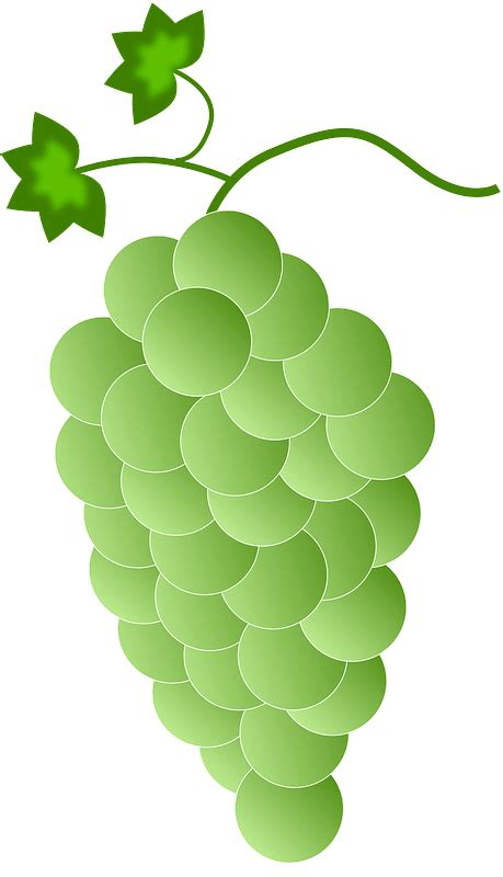 Bunch Of Green Grapes Clipart Free Download Transparent Png Creazilla