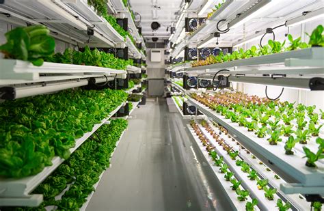 The malaysia hydroponic farm found at alibaba.com are a better way to grow crops than the traditional land tilling system. Charleston-Based Hydroponic Farm Expanding to Columbia ...