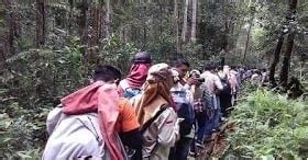 Formasi Dan Tipe Tipe Hutan Di Indonesia Zega Hutan