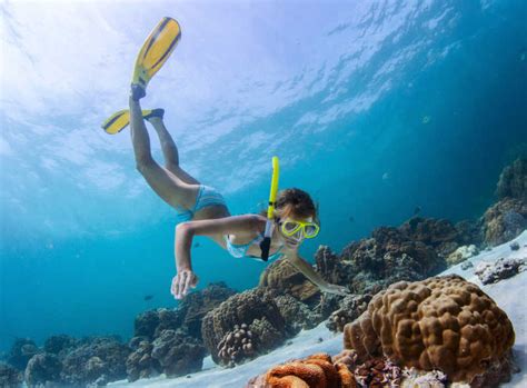 海底浮潜的美女图片 穿着比基尼的美女在海底浮潜素材 高清图片 摄影照片 寻图免费打包下载