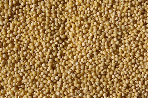 Millet Grain Texture Picture | Free Photograph | Photos Public Domain