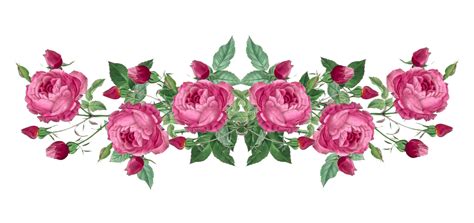 Free Vintage Rose Borders Vintage Rose Scrapbooking Embellishment Scrap Rose Border Png