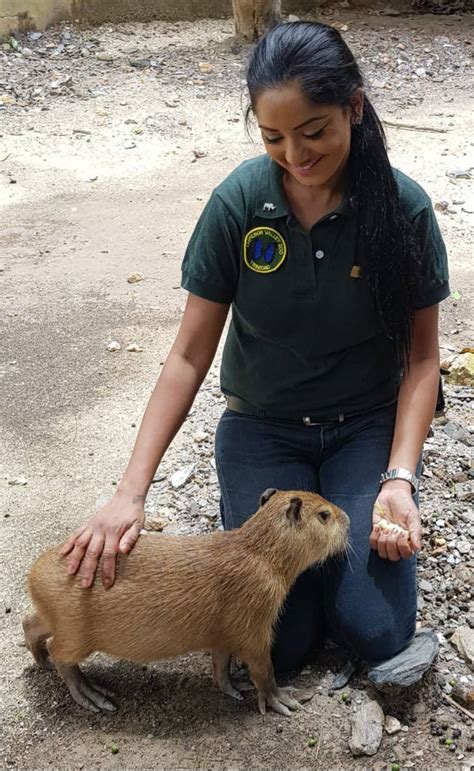 To read more about the public land survey system visit the related link. Baby capybara draws big zoo crowd