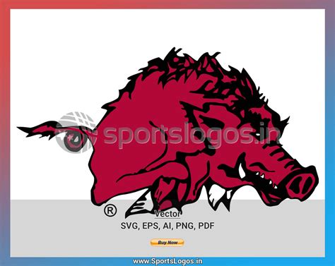 Arkansas Razorbacks College Sports Vector SVG Logo In Formats SPLN Sports Logos