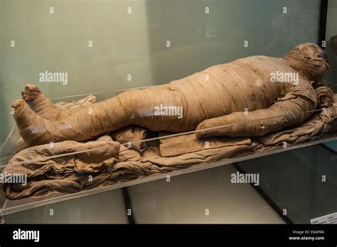 Italy Piedmont Turin Egyptian Museum Mummy Stock Photo Alamy