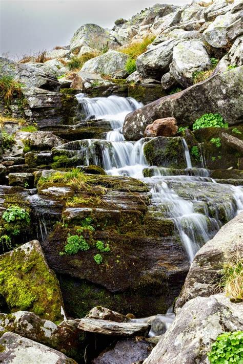Fresh Water Stream Flowing Down Mountain Stock Photo Image Of Fall