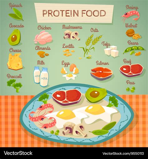 Protein Food Raw And Cooked Collection Royalty Free Vector