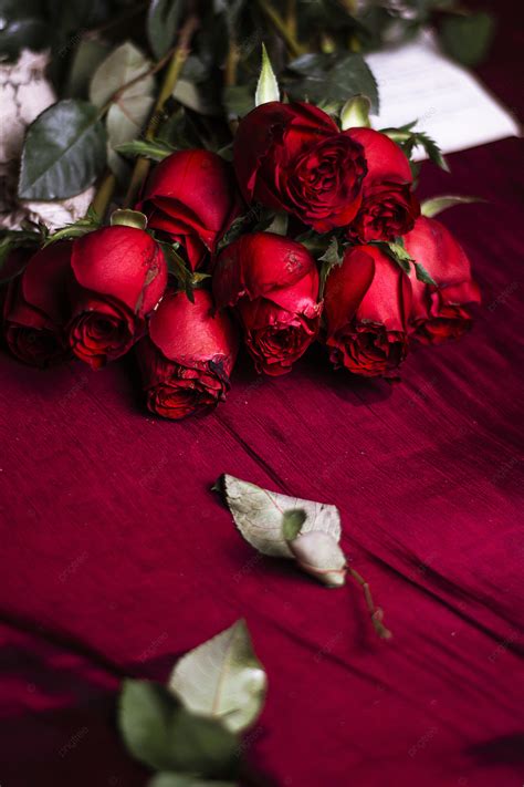 Unduh 400 Gratis Background Bunga Mawar Merah Terbaru Hd