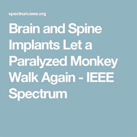 Brain And Spine Implants Let A Paralyzed Monkey Walk Again Lee Spectum