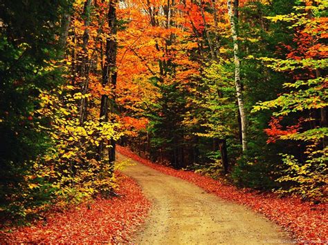 Autumn Scenes Wallpapers Top Free Autumn Scenes Backgrounds
