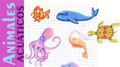 Dibujos De Animales Del Mar Peruano Para Ninos La Diversidad Nos