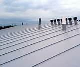 Single Ply Roofing Contractors Photos