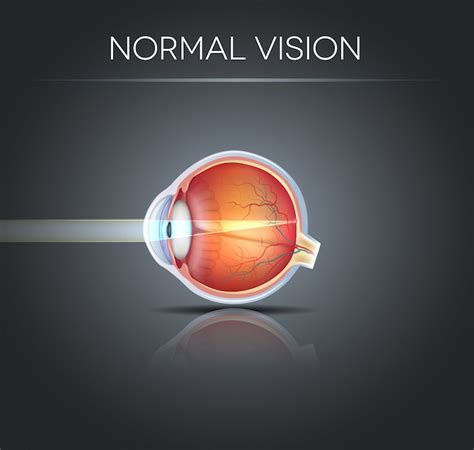 Human Normal Eye Vision Moran Eye Associates