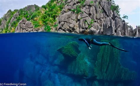 Freediving Coron All You Need To Know Before You Go With Photos