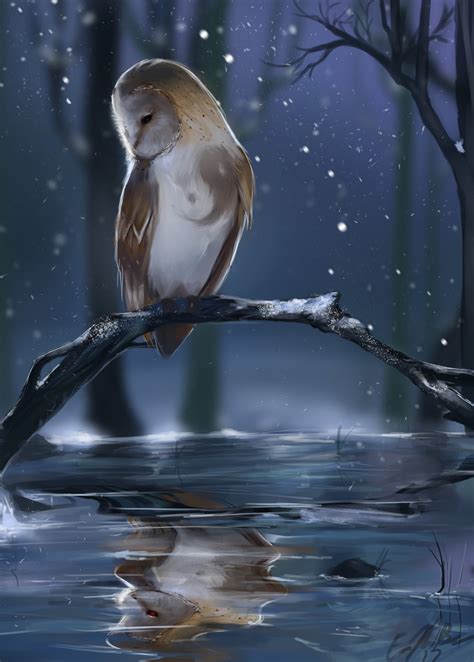 Artstation Owl Digital Painting Erik Thomas Baez Owl Art Erik