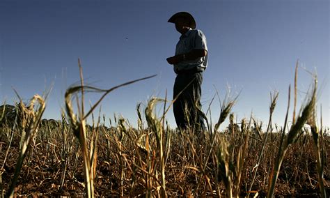 Climate Change Already Affecting Food Supply Un Environment The