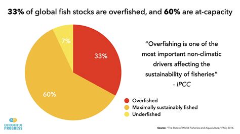 Overfishing — Environmental Progress